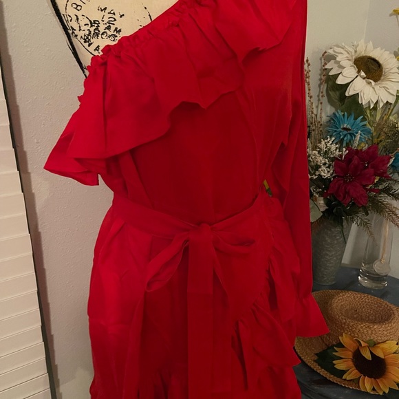 ♦️ CLEARANCE NWT Beautiful sexy Red dress  -size 16 - Picture 5 of 8